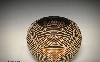 Panama Rainforest Basket Illusion 1
