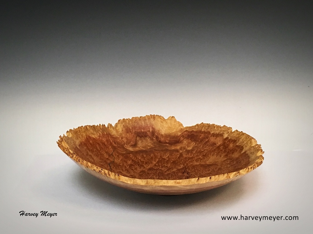 Red Mallee Burl Natural Edge Bowl