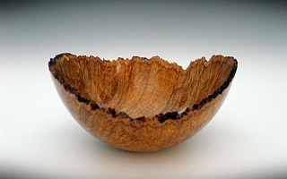 Brown Mallee Burl