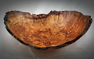 Maple Burl Natural Edge