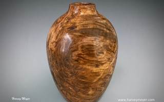 TasmanianEucalyptusVessel-LoRes